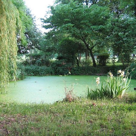 Domaine Des Parisses - Chambres D'Hotes Gennetines Bilik gambar